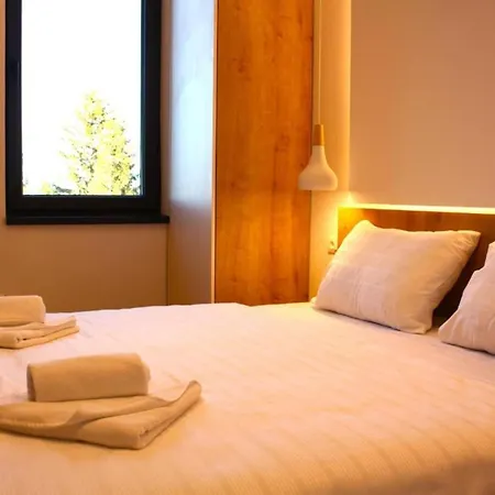 Snowtime Zlatni Javor 407 Apartman *