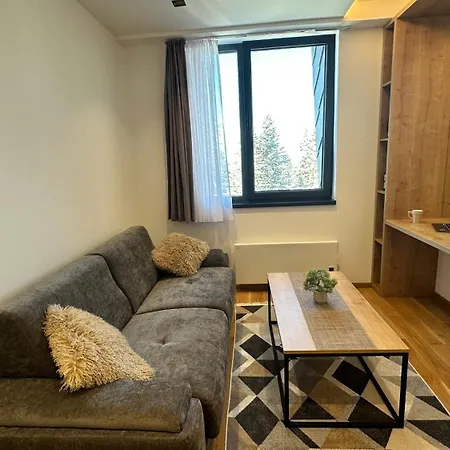 Snowtime Zlatni Javor 407 דירה יהורינה