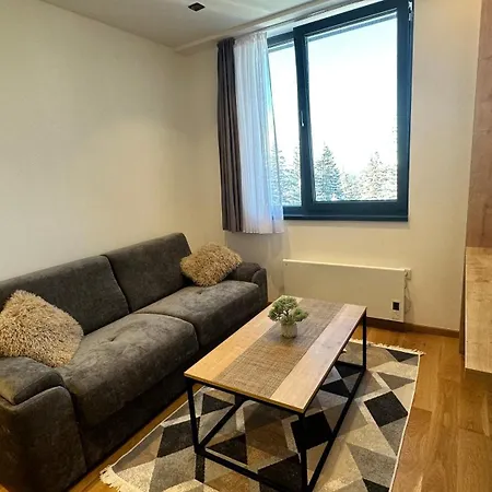 דירה Snowtime Zlatni Javor 407 יהורינה