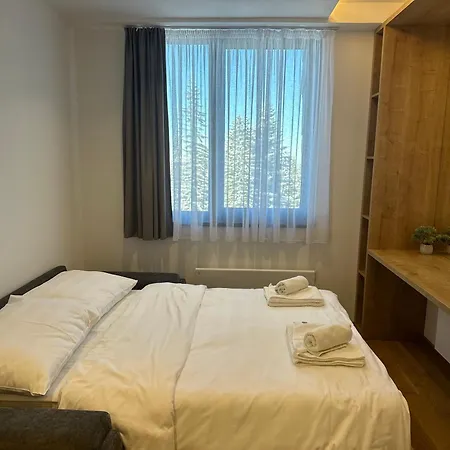 Snowtime Zlatni Javor 407 *