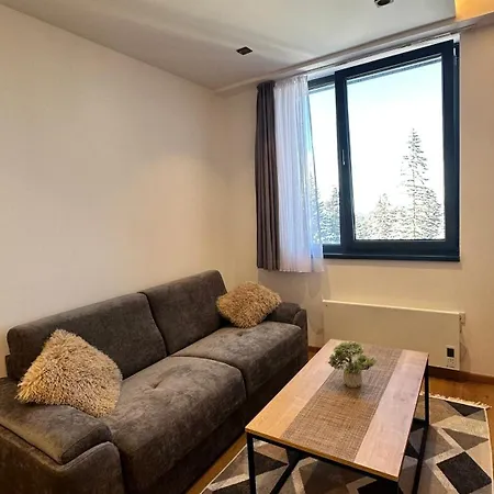 Apartment Snowtime Zlatni Javor 407