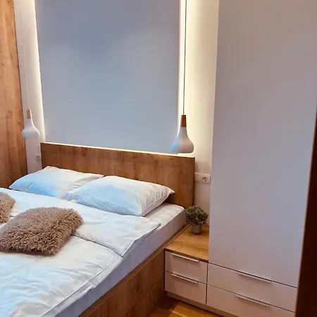 Snowtime Zlatni Javor 407