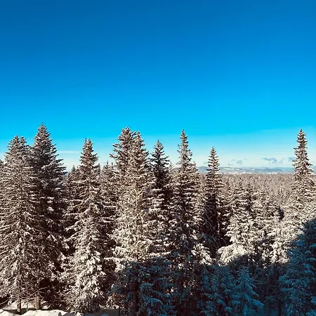 דירה Snowtime Zlatni Javor 407