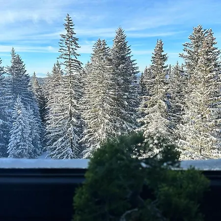 Snowtime Zlatni Javor 407 * יהורינה