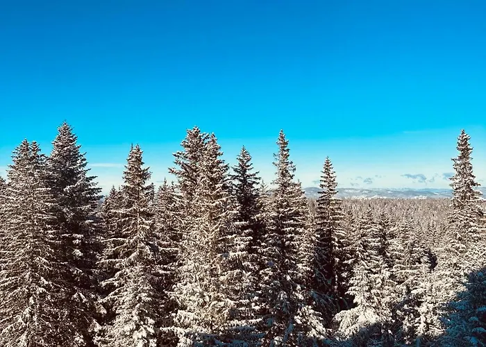 Apartament Snowtime Zlatni Javor 407