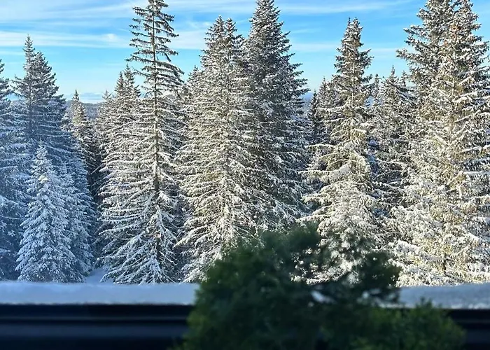 Snowtime Zlatni Javor 407 * Jahorina